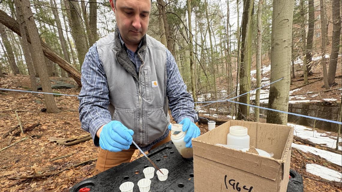 UNH researcher explores extending sugaring season with non-maple syrups in New England