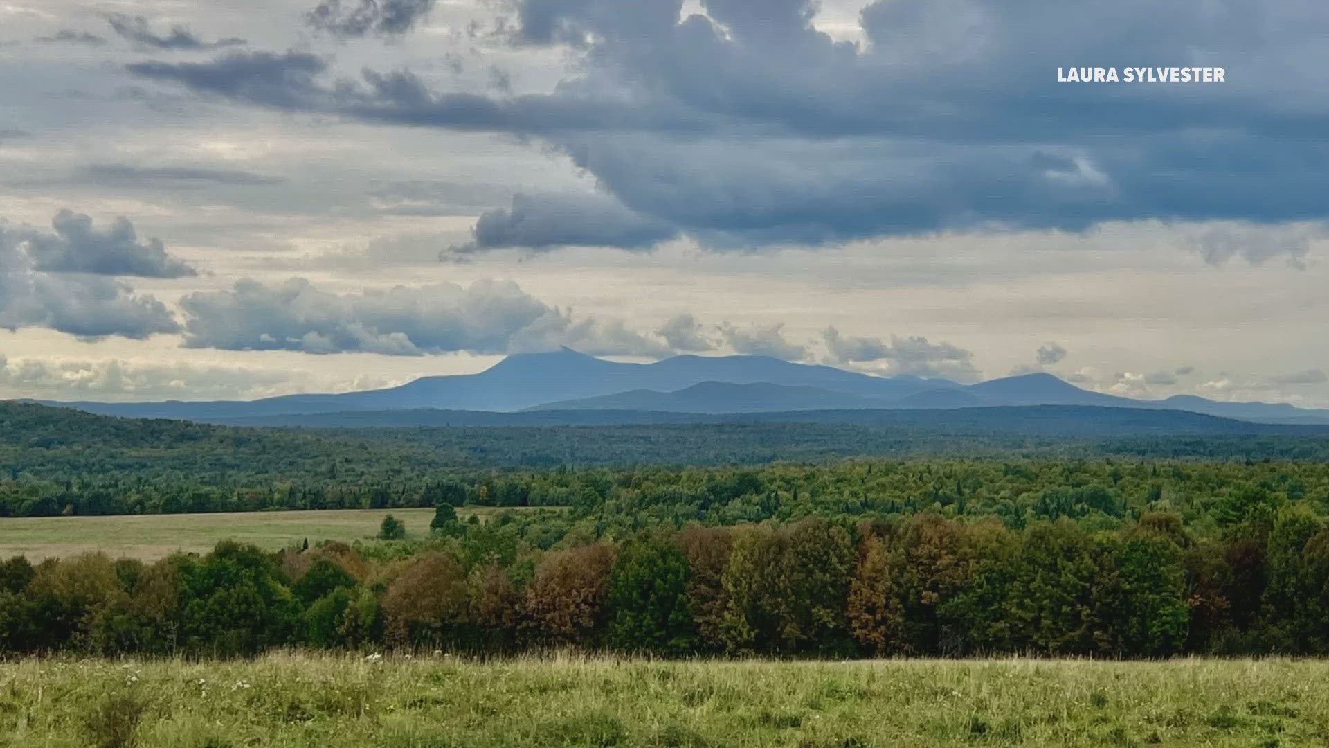 Fall isn't officially here quite yet, but NEWS CENTER Maine meteorologist Keith Carson says he has "high 
 hopes" for a vibrant leaf peeping season this year.