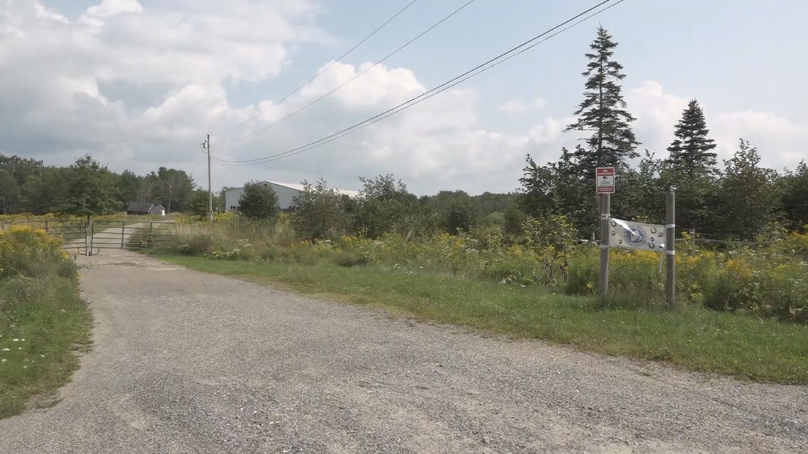 Bucksport woman facing multiple charges in connection to animal cruelty