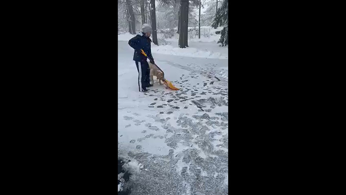 Helping Out | newscentermaine.com