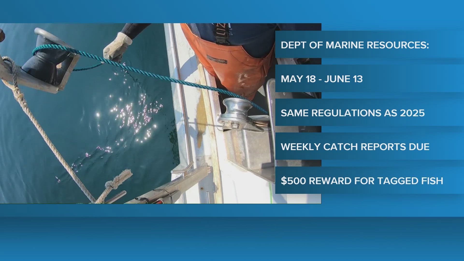 Maine prepares for upcoming halibut season | newscentermaine.com