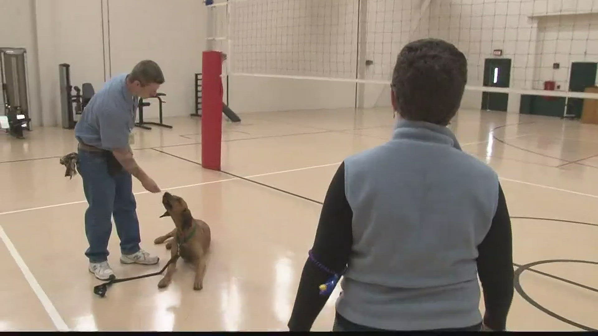 More than 100 dogs have successfully finished the K9 Corrections program at the Maine State Prison thanks to the inmates who spend six to eight weeks working with the animals.