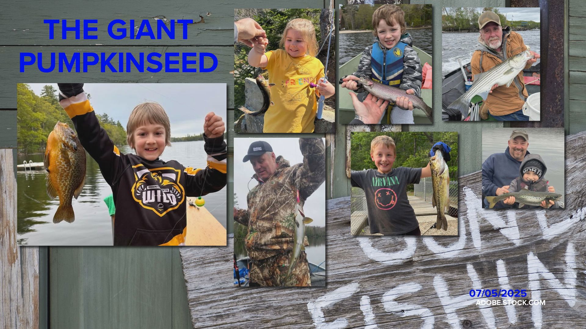 You know those giant pumpkins at all the county fairs nowadays? Well meet this giant pumpkinseed sunfish.