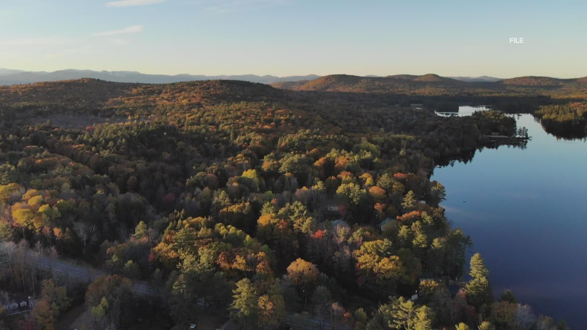 Gale Ross has officially been recording fall foliage for the state of Maine for more than two decades.