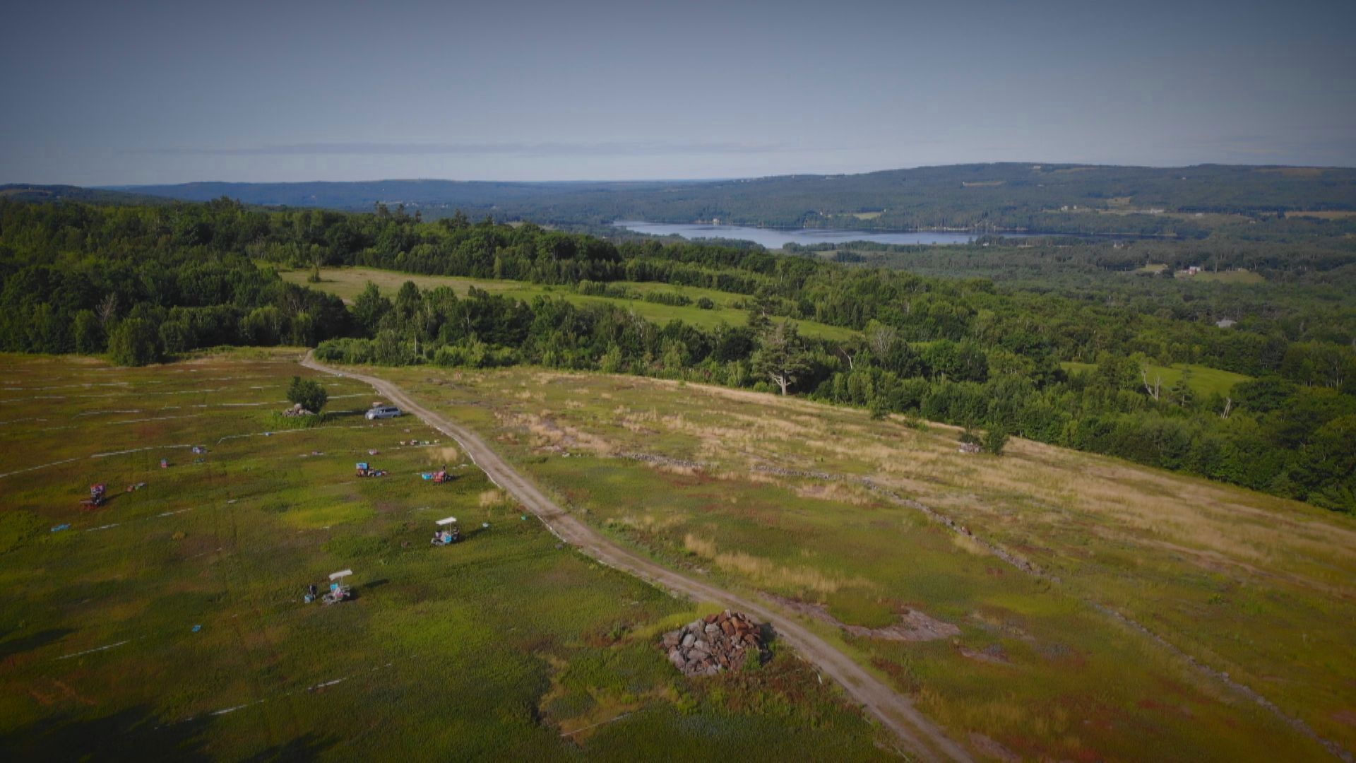 The land Brodis Blueberries farm is on was given to the family by the King of England before Maine was even a state.