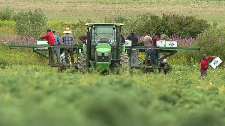 Worker shortage leads Maine farmers to pressure Feds for migrant worker reform