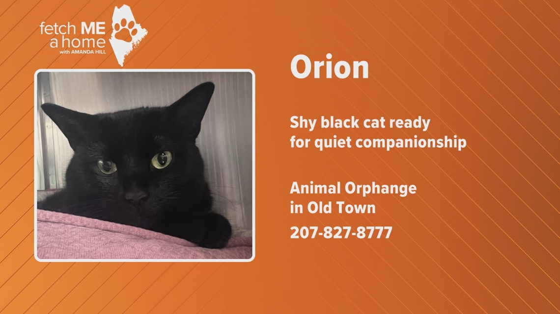 Fetch ME a Home: Orion