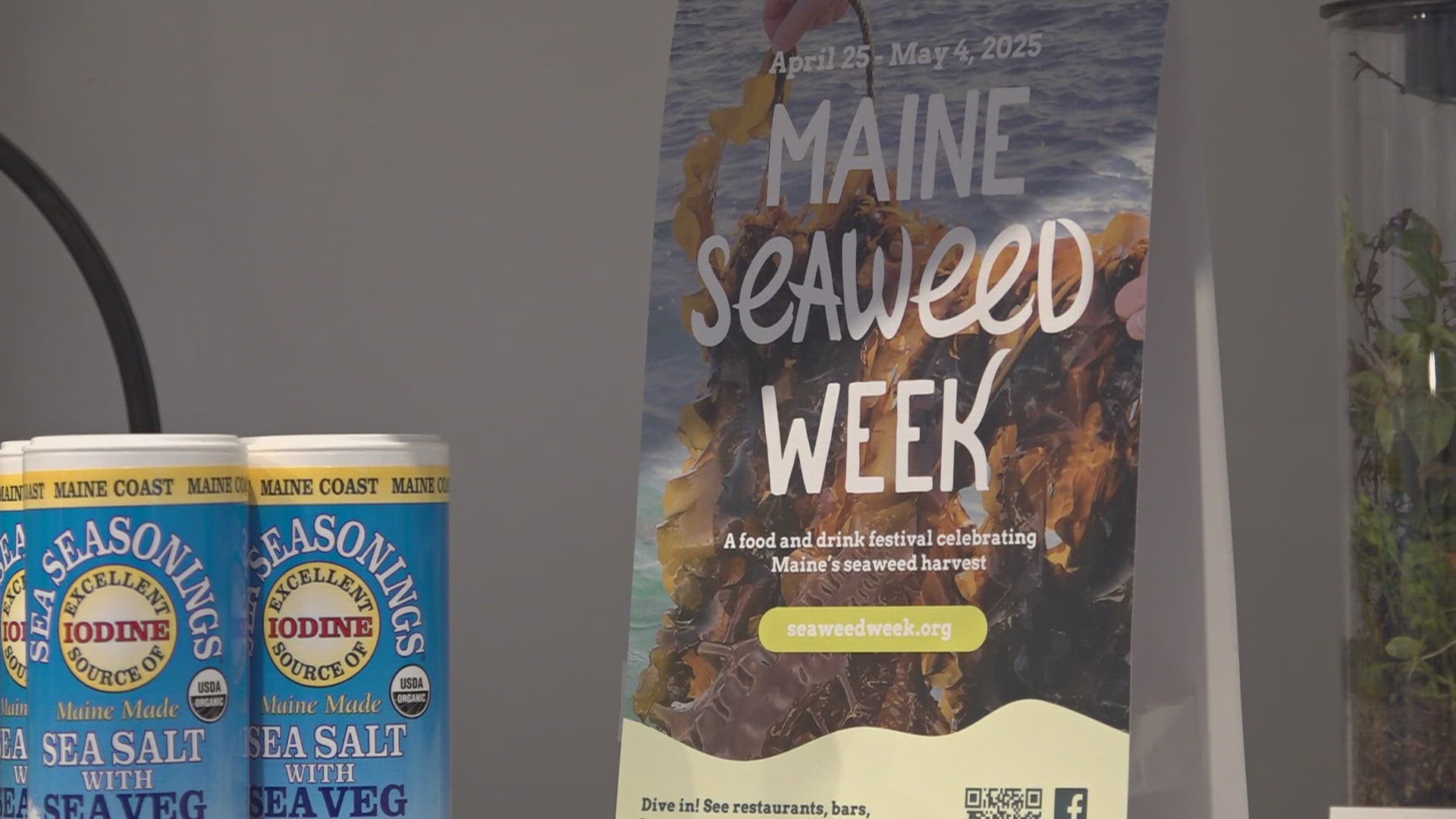 Seventy businesses are participating in the food and drink festival to celebrate Maine’s seaweed harvest.