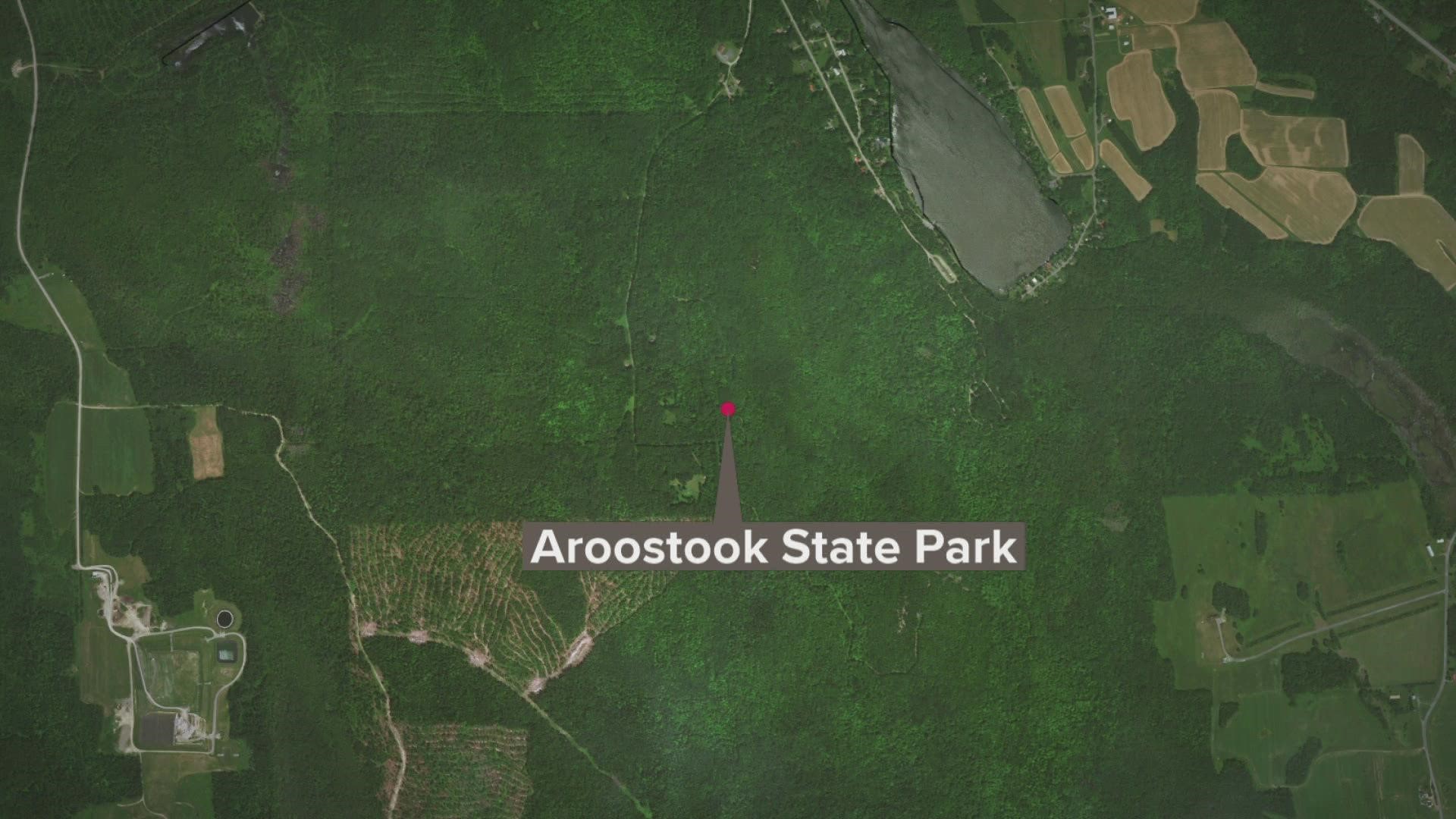 The hiker was on the trail to the south peak in Aroostook State Park when she slipped on a snowy area and slid forty feet down a verticle drop.