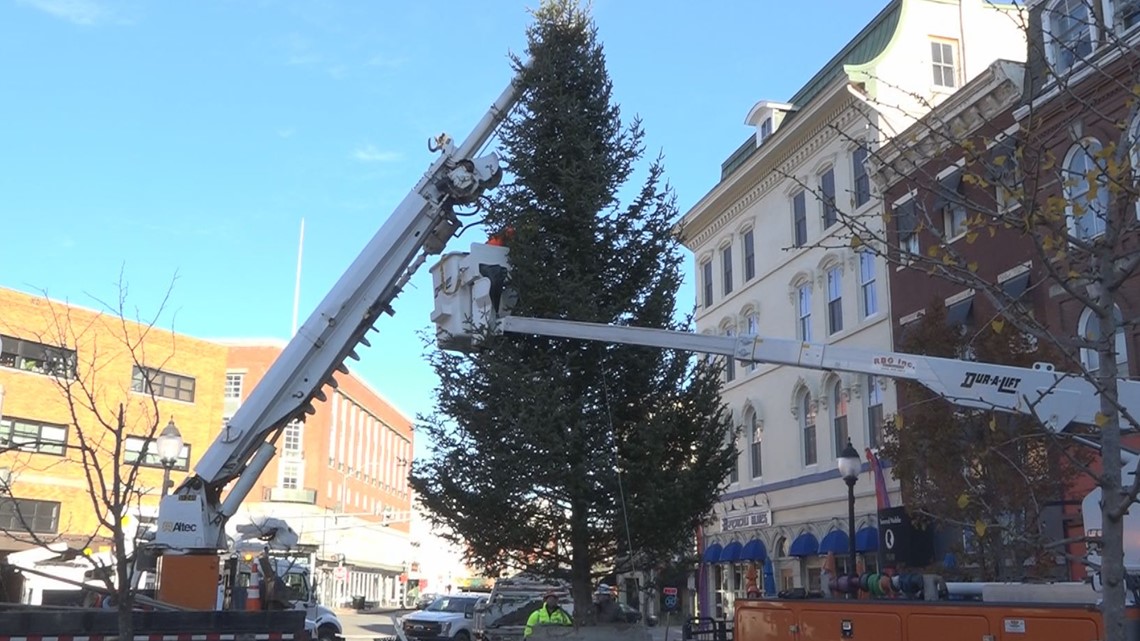 Bangor, Maine, holiday tree goes up in West Market Square