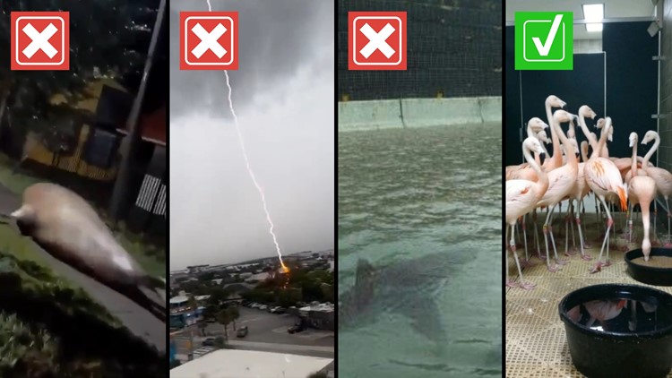 Hurricane Ian: Fact-checking images and videos claiming to show scenes from storm