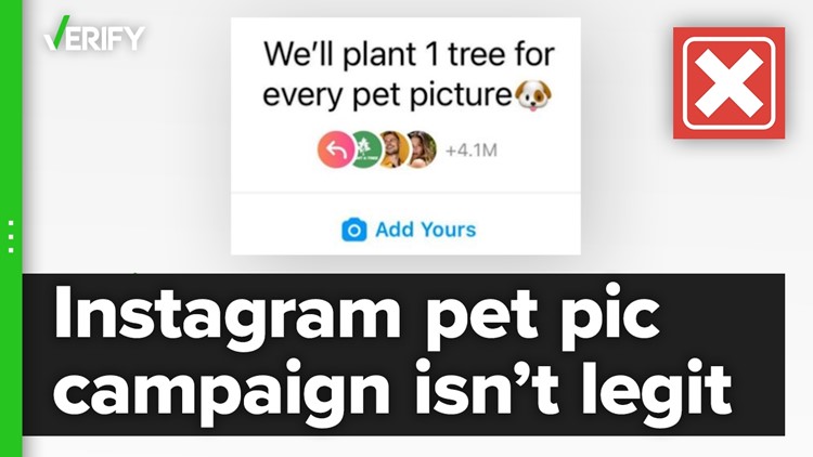 Fact-checking if a tree will be planted for every pet picture posted to Instagram campaign