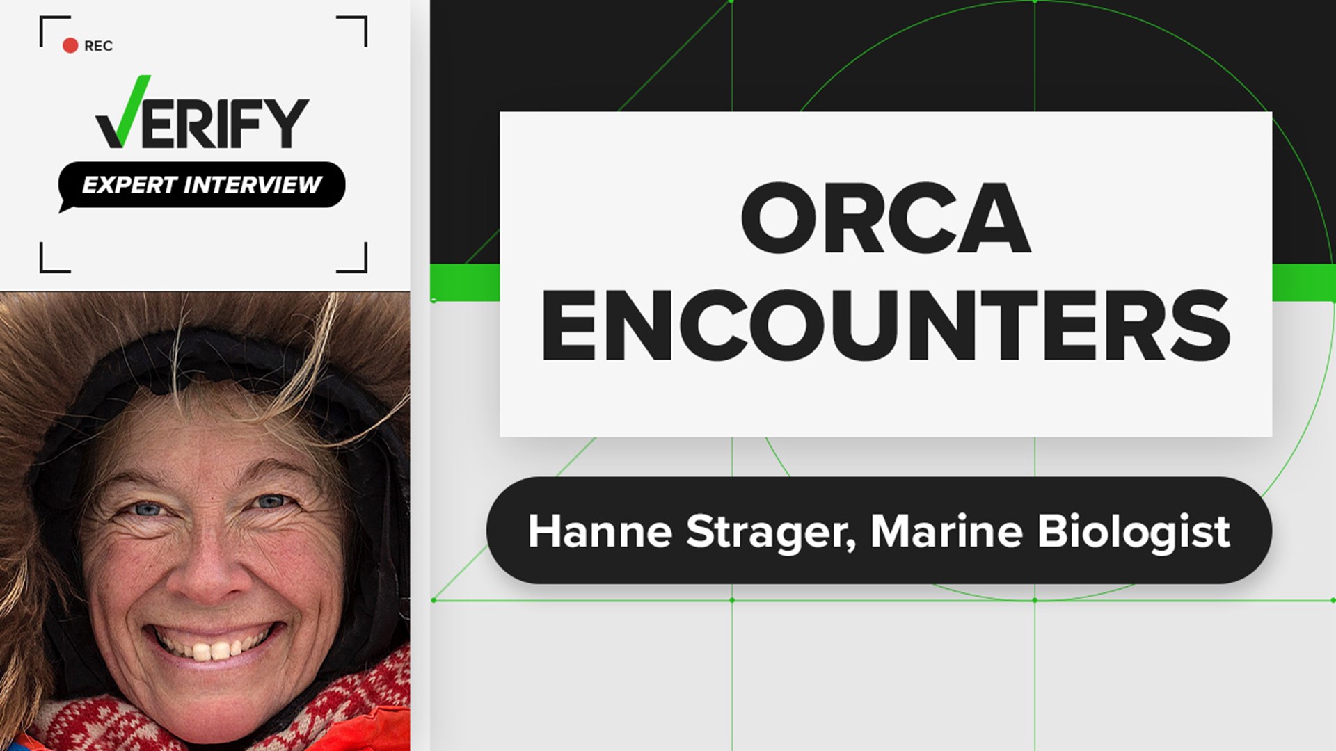 More than 500 encounters between orcas and boats have been reported since 2020. Marine biologist Hanne Strager shares why she thinks they are becoming more frequent