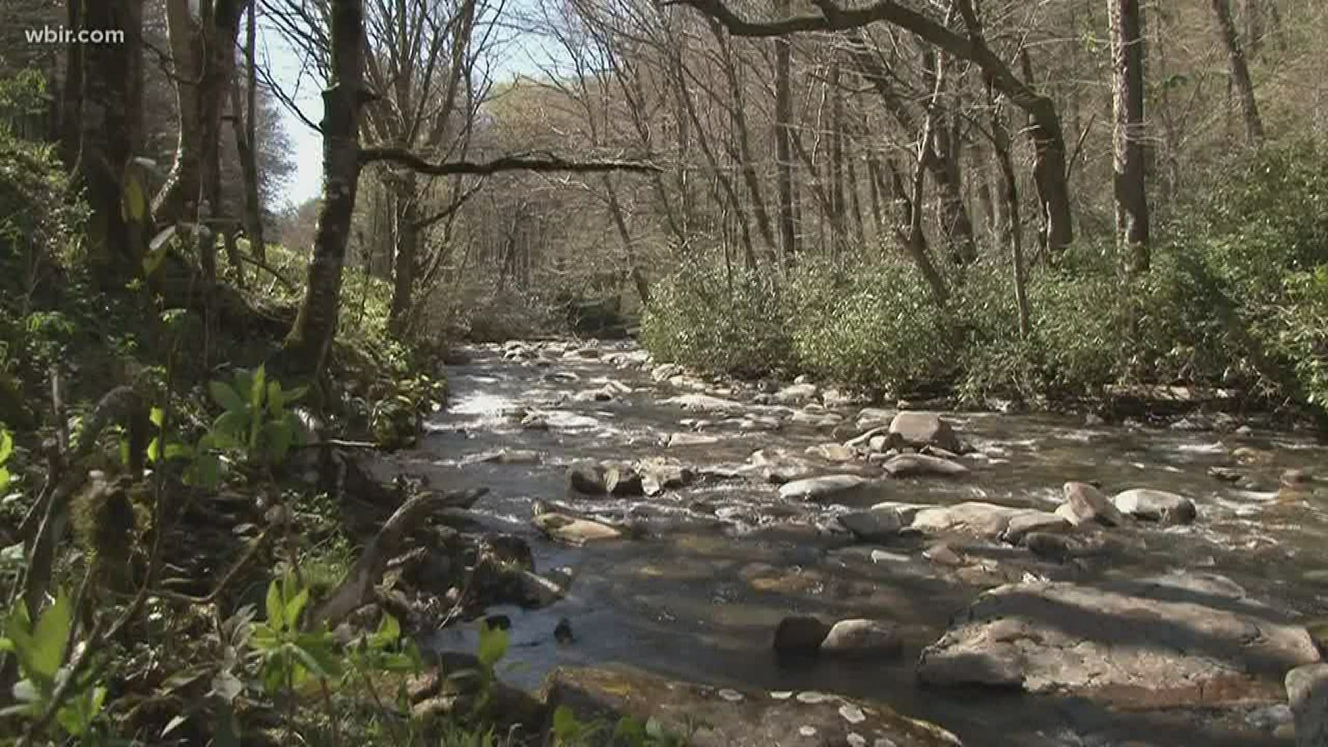 10News reporter Grace King was in Newfound Gap today and has the details.