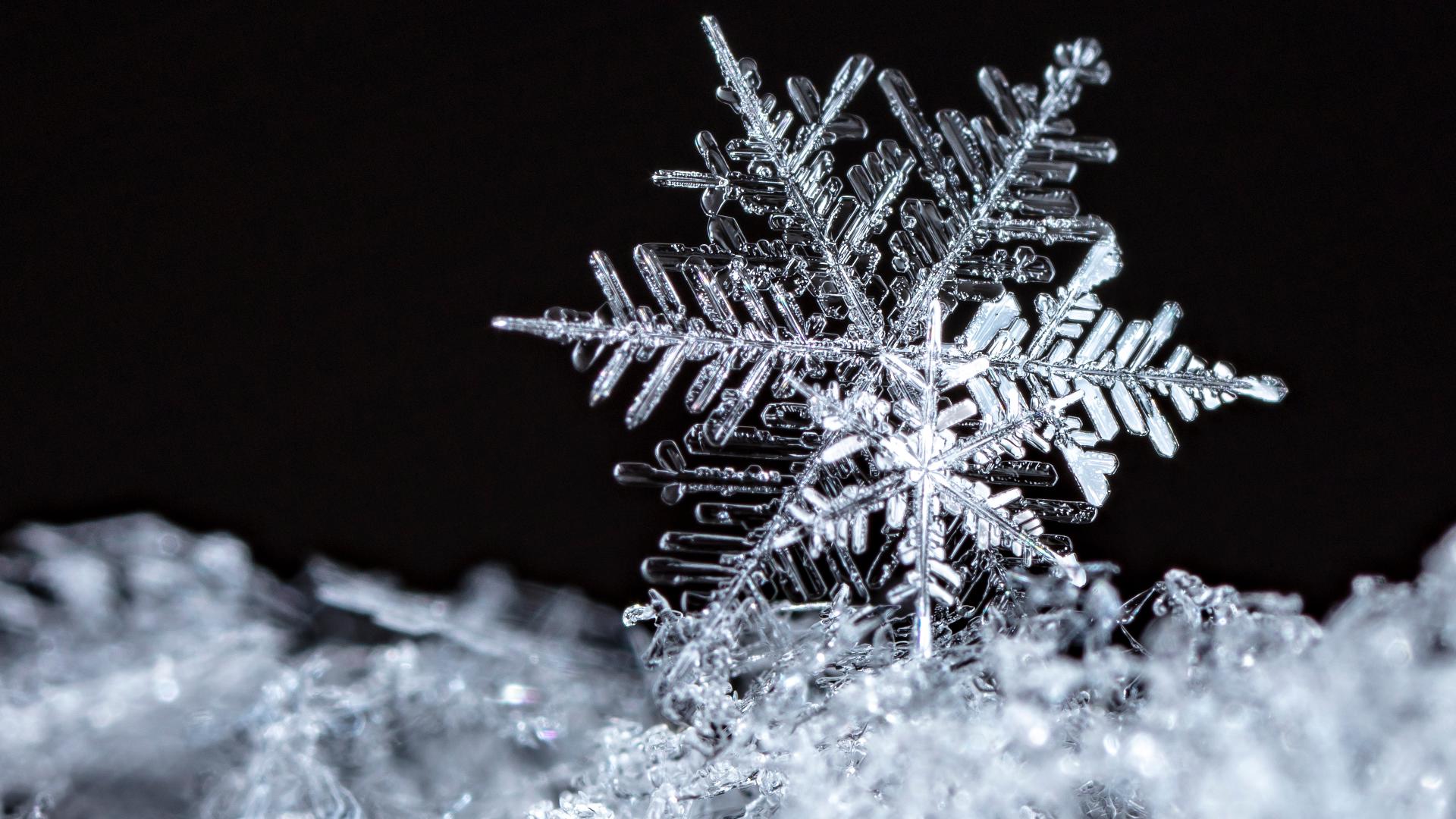 Here's an explainer on the process of how these unique ice crystals form.