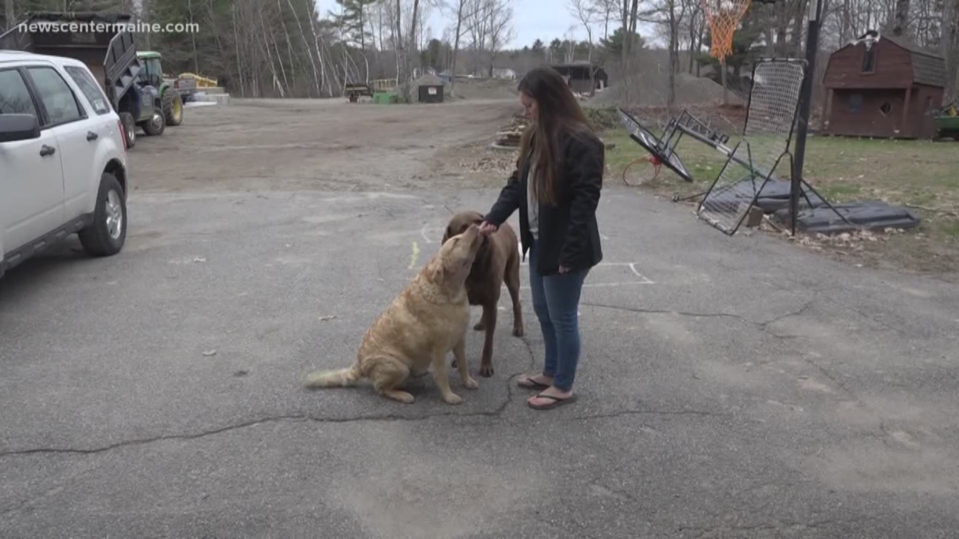 Pet owners are on the alert after cases of rabies in Maine.