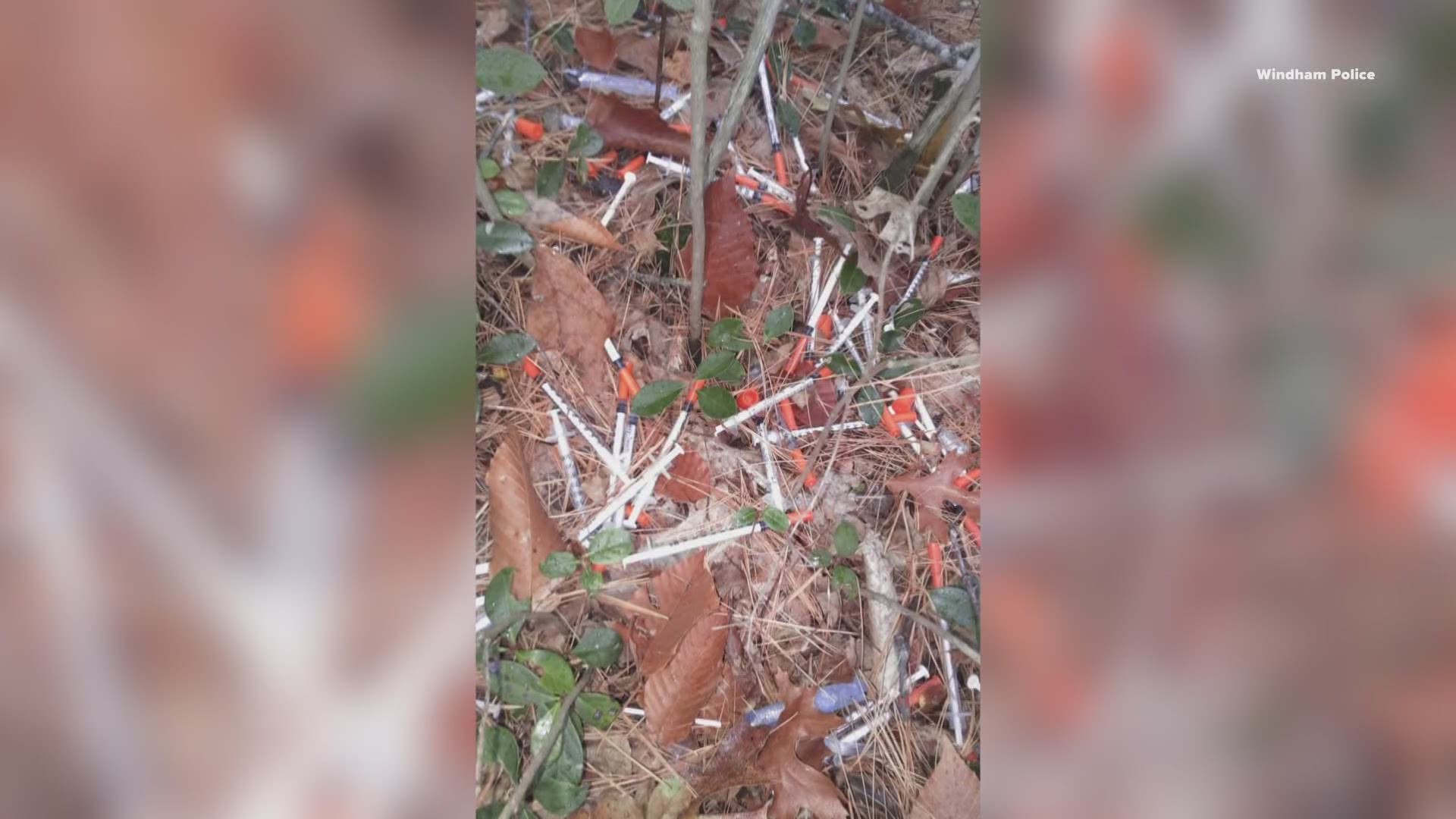 Windham Police say nearly 80 hypodermic syringes were found along a popular walking path.