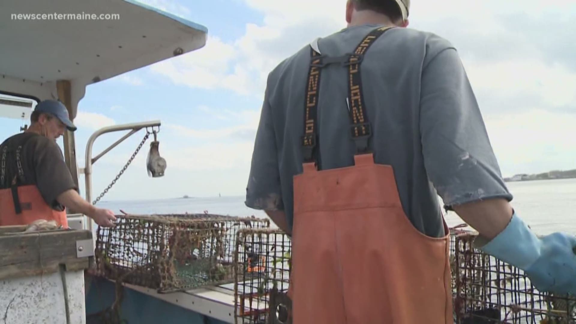 Maine's Working Waterfront is using social media to help connect customers directly to local fishermen to buy lobsters.