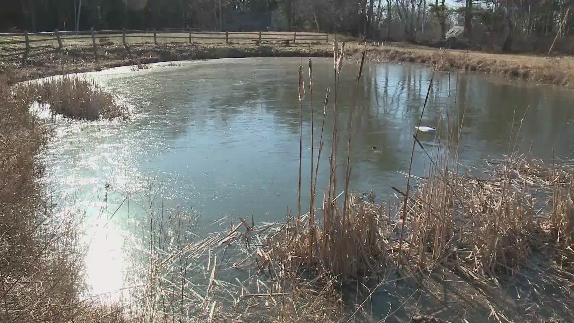 The little pond is located next to the Southport school, and it is used year round for everything from education to ice skating.