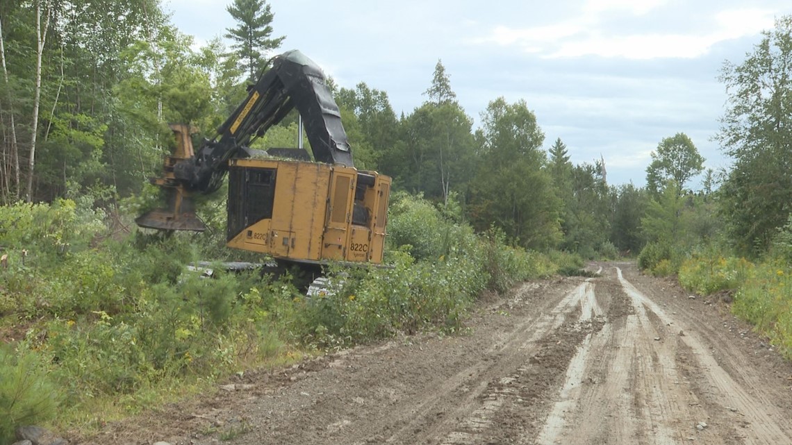 Maine loggers poised to unionize