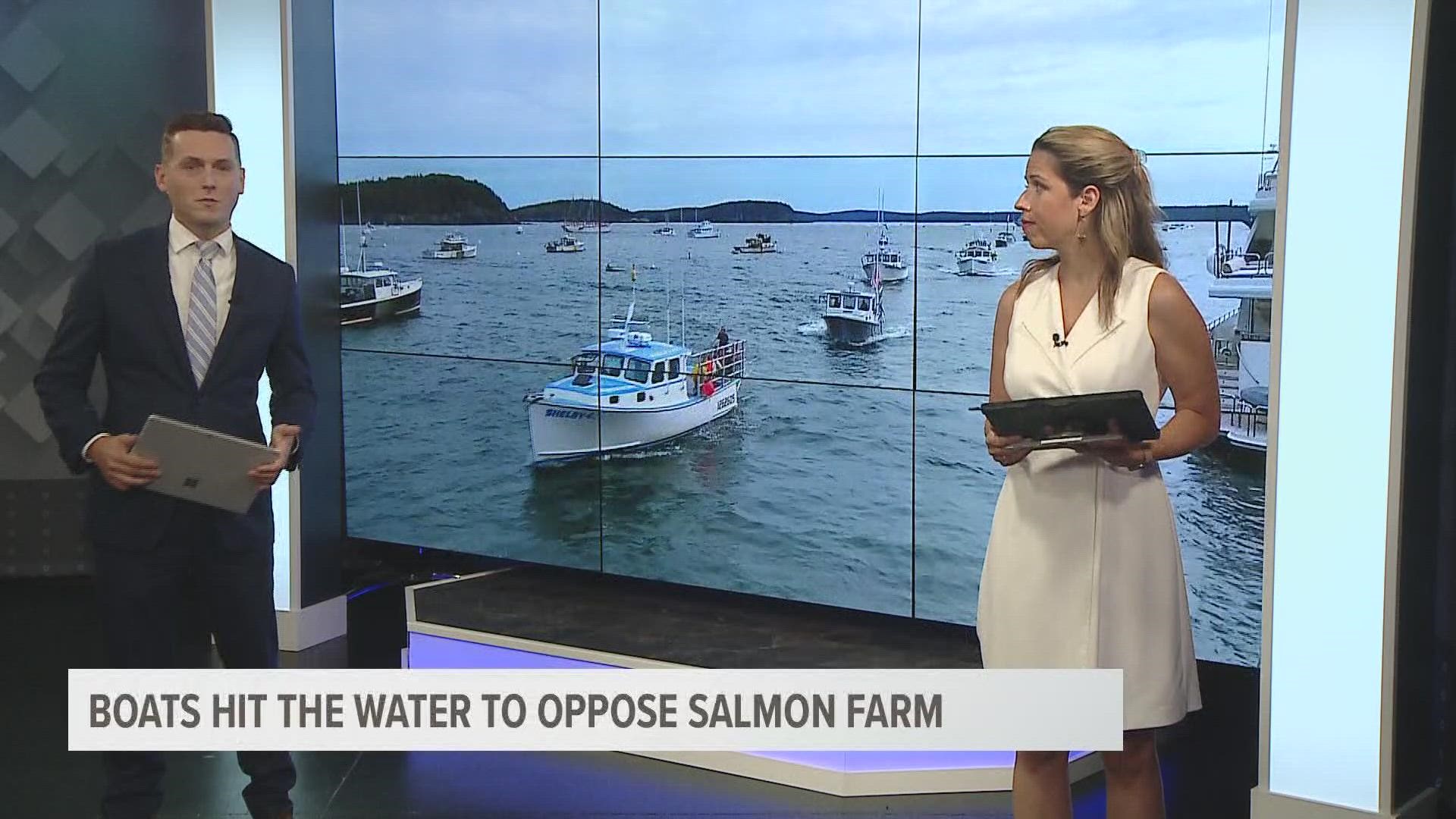 Over 100 boats and other people on land protested against a proposed salmon farm near Maine’s Acadia National Park.