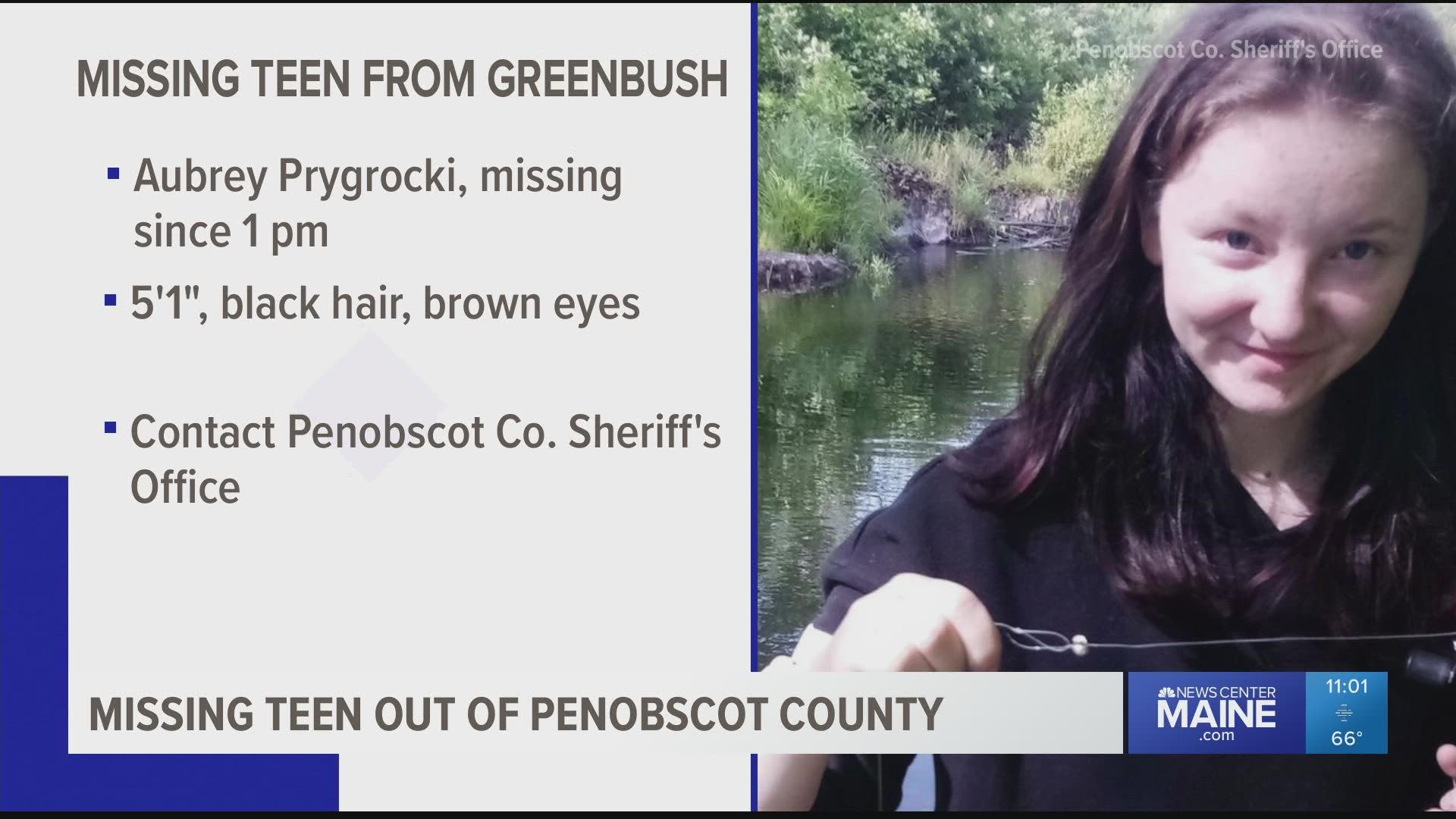 Officials say Aubrey Prygrocki was last seen at her home in Greenbush Monday afternoon.