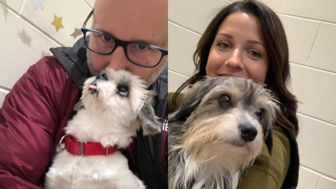 Sleeping with the dogs... Amanda Hill and Lee Goldberg in kennels for a