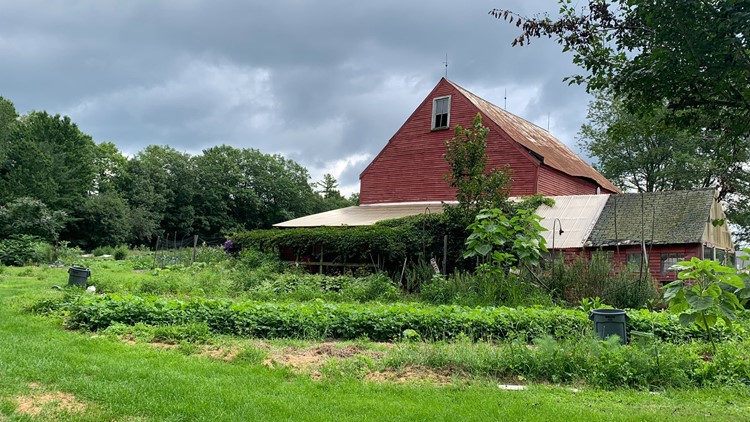 Mainers to vote on 'right to food' in November election ...