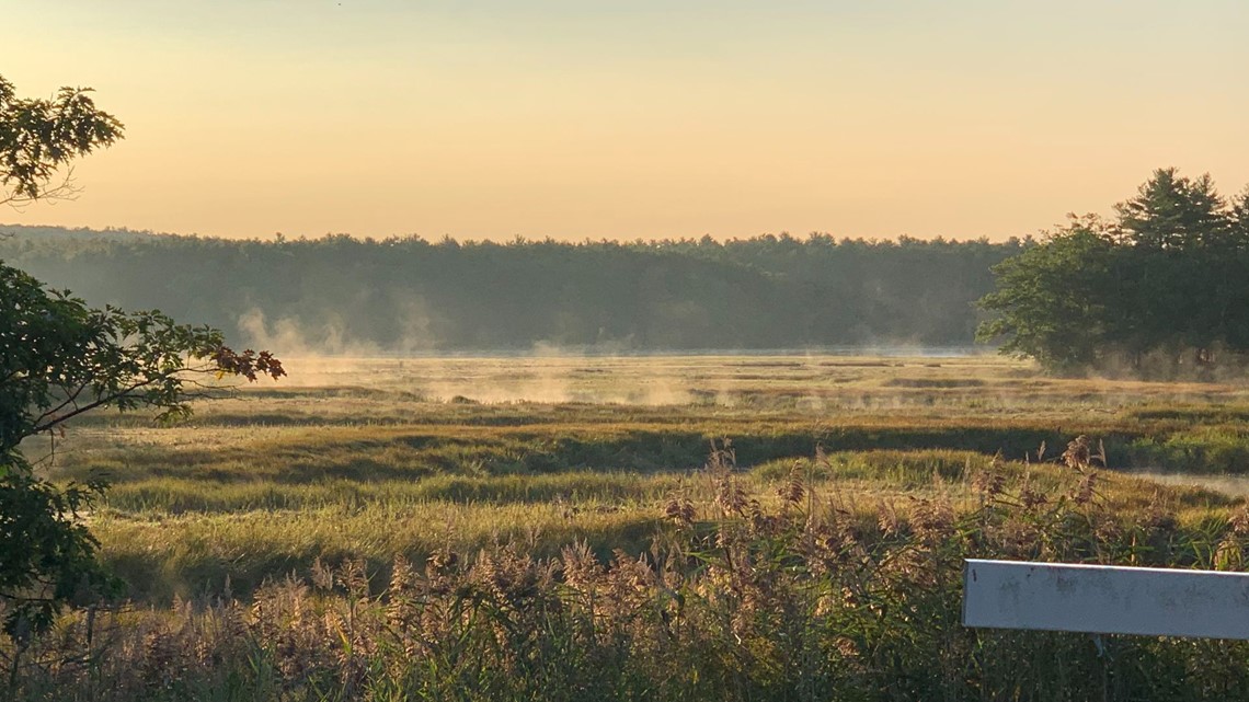 King, Collins introduce legislation to designate York River as part of NPS' Wild and Scenic River …