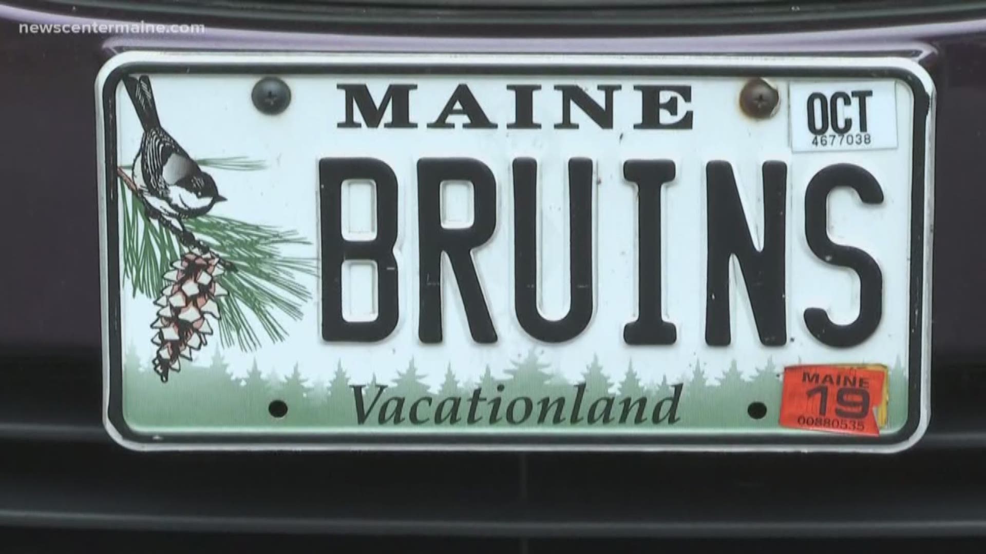 These Mainers are proving that being a fan is a family affair.