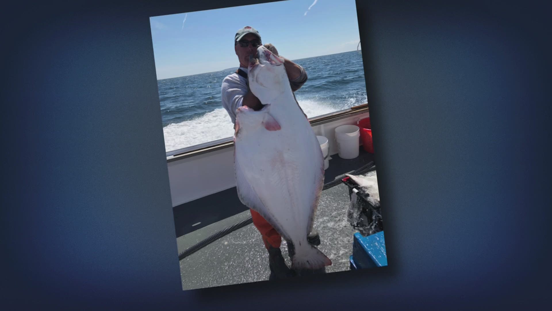Local Maine fishermen reel in big halibut during short season
