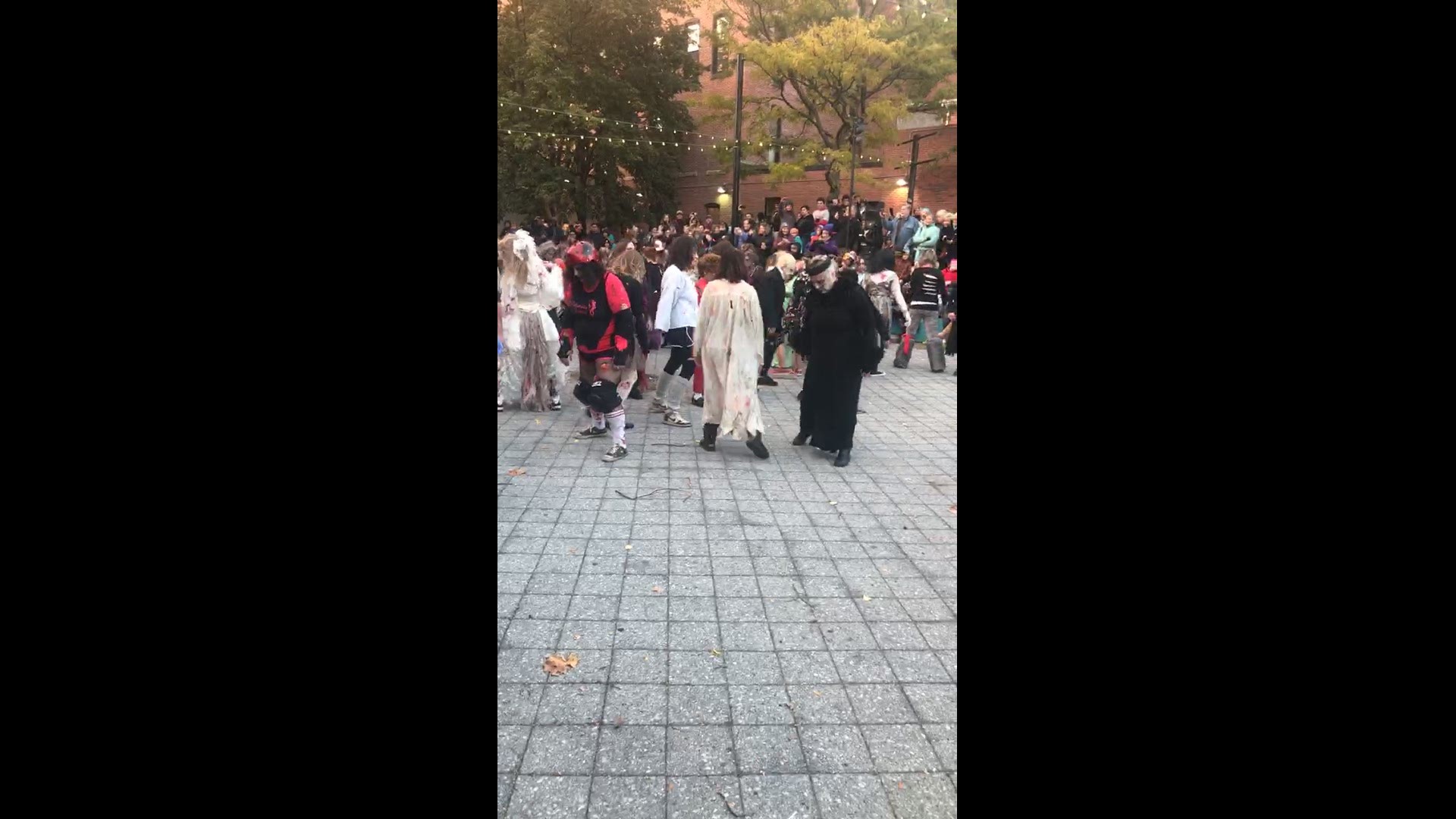 Thriller flash mob 2018