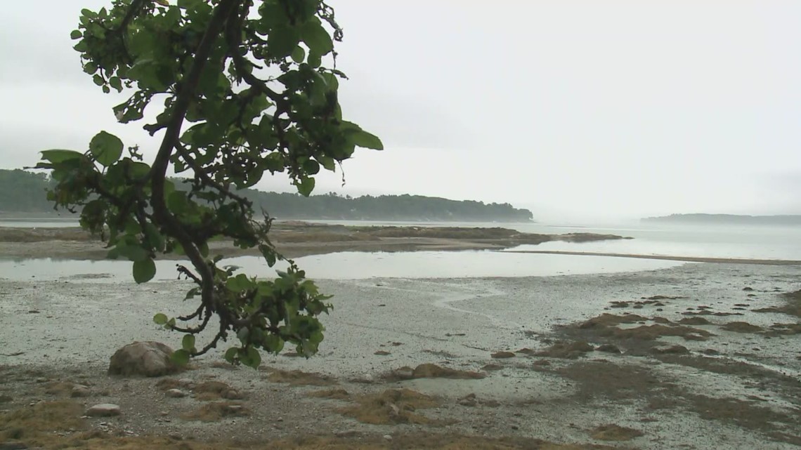 Conservation groups looking at land for new preservation finds - Vimarsana News