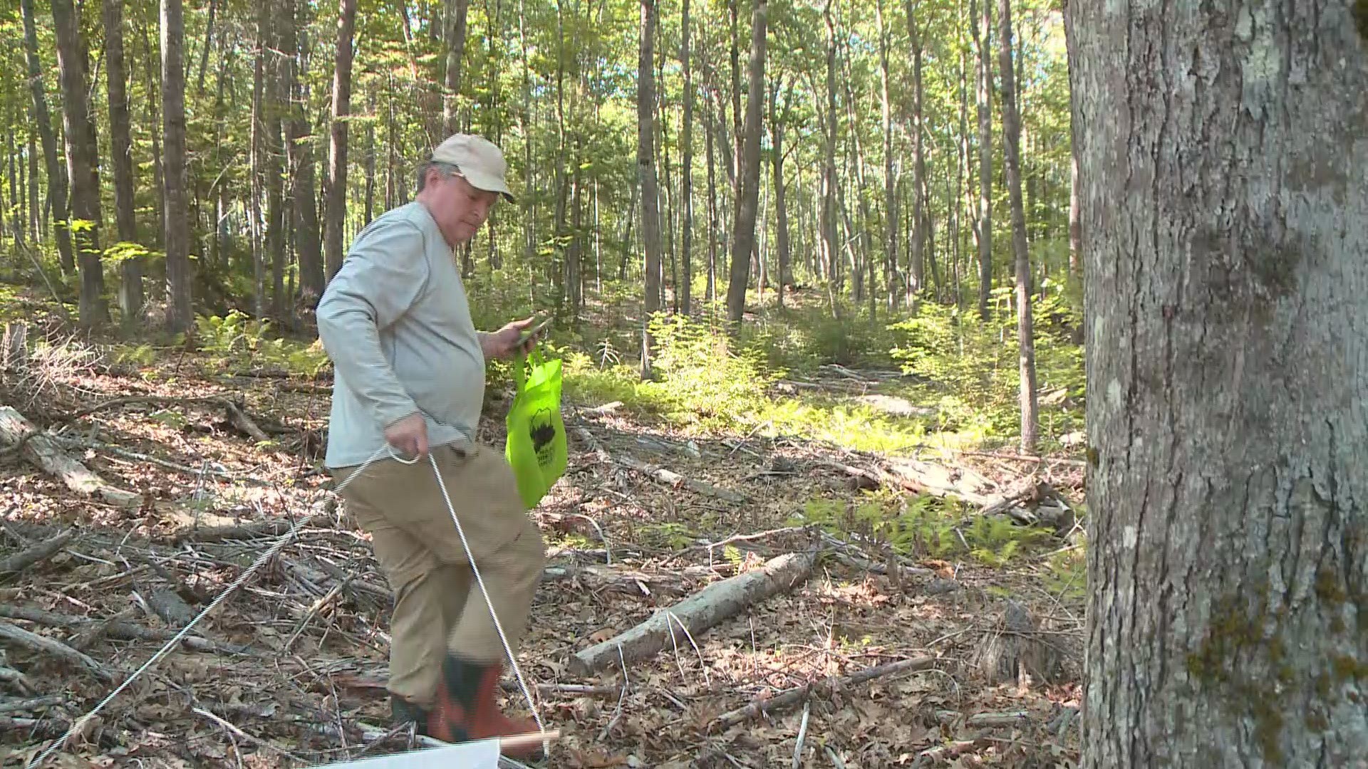 Gordon Johnson Citizen Scientist, Maine Forest Tick Survey Volunteer, searching the Maine woods for ticks
