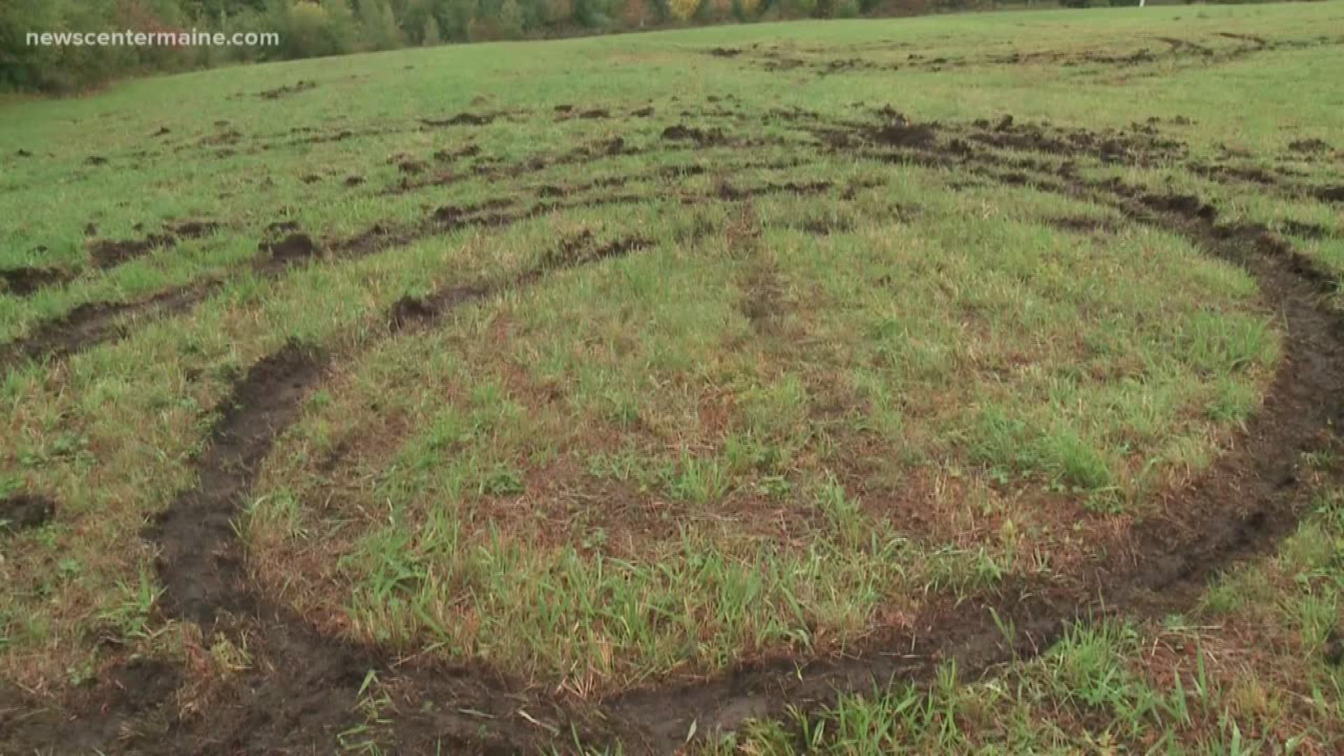 Police looking for vandal or vandals of Sabbathday Lake Shaker Village