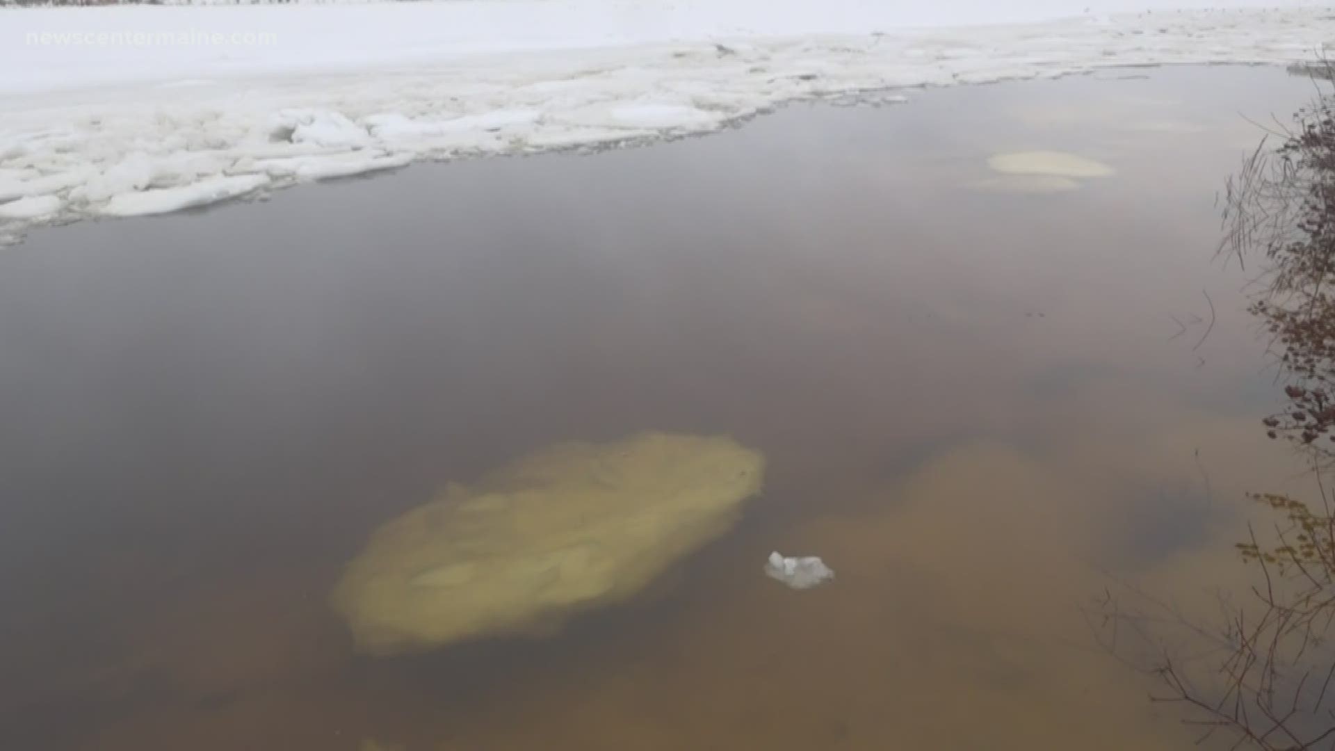 Measures being taken to reduce pollution of Penobscot River in Bangor