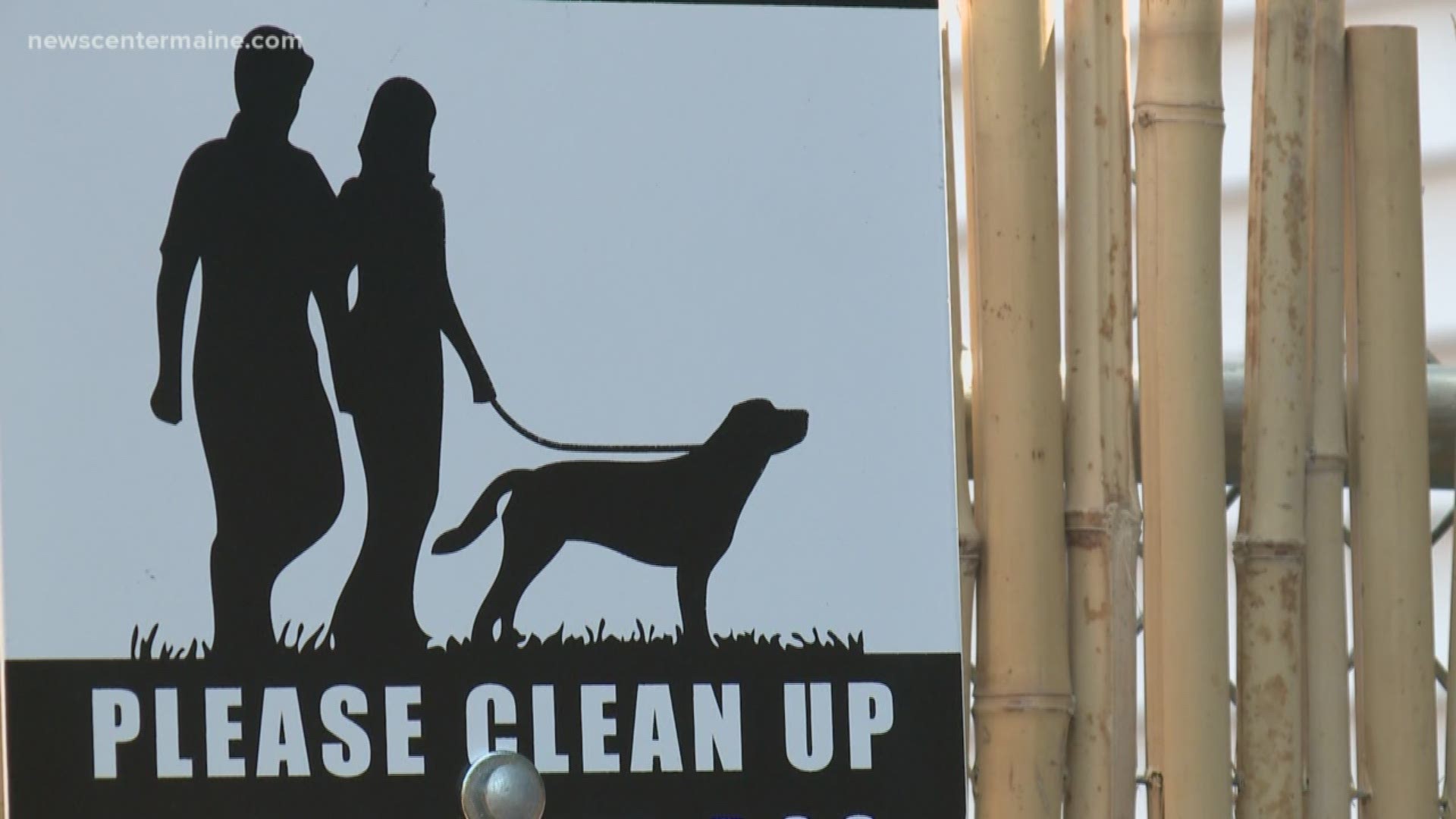 Domestic violence shelter Maine's first to be pet-friendly