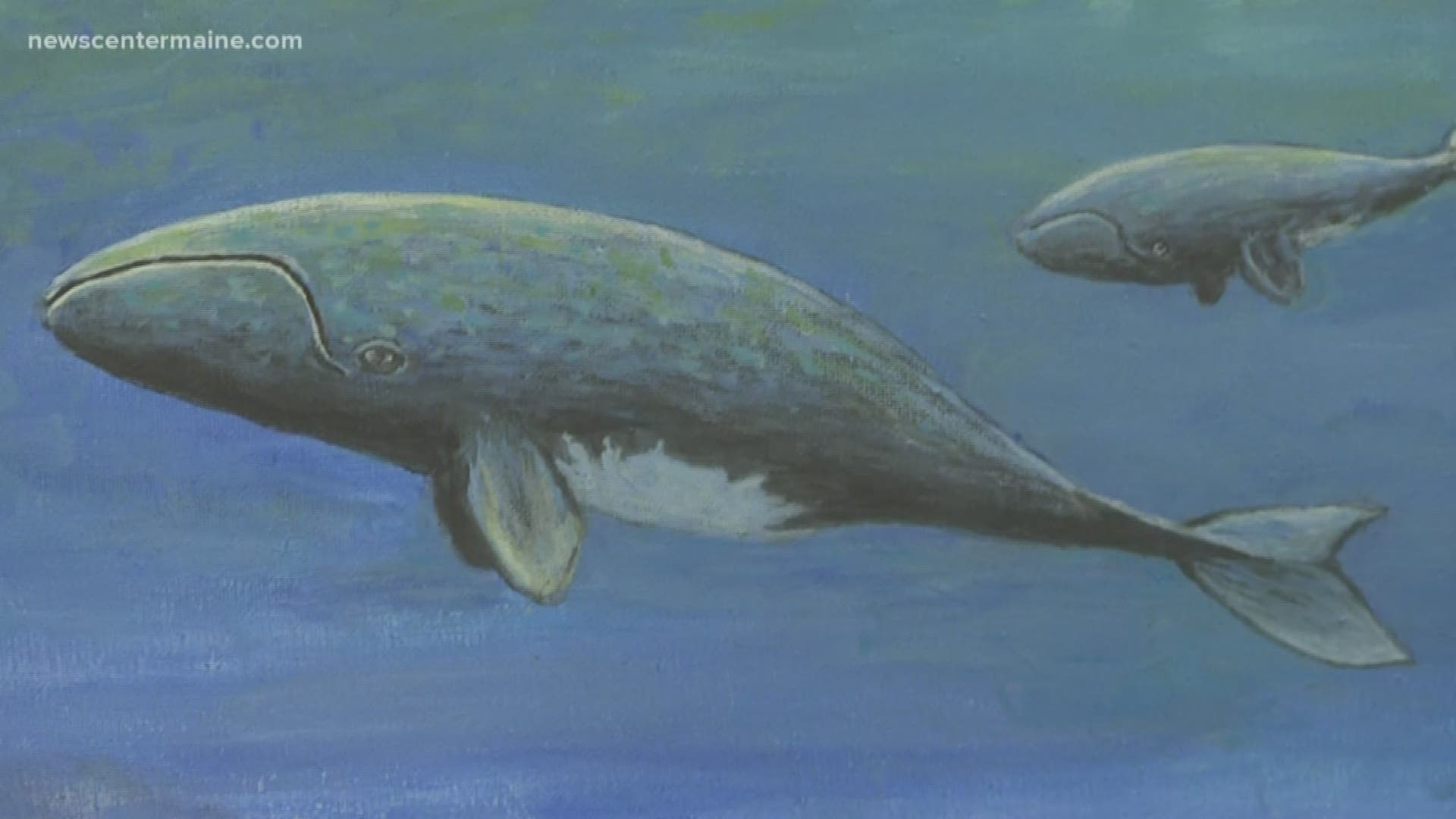 Local artists, environmental advocates, and researchers got together to educate the public about right whale migration along Maine's coast.