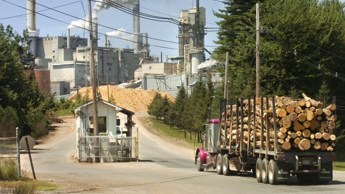 Paper mill to receive upgrades in 120M investment plan