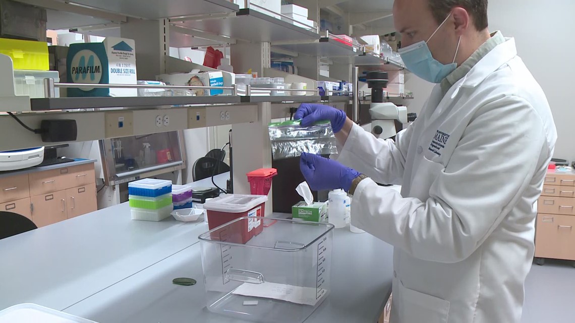 The Maine Tick Lab provides important data for patients following a ...