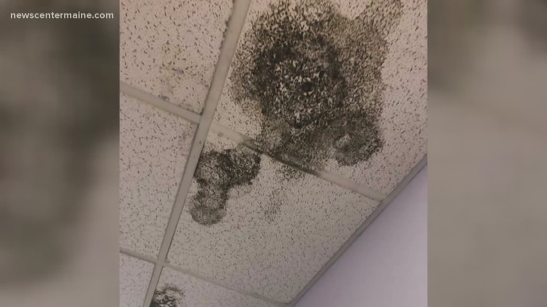 SMCC, parents, students respond to mold found in residence hall