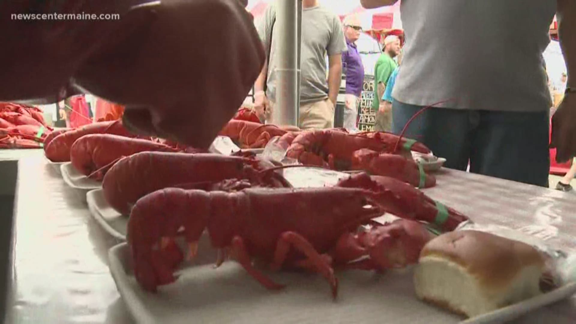2018 Maine Lobster Festival kicks off in Rockland