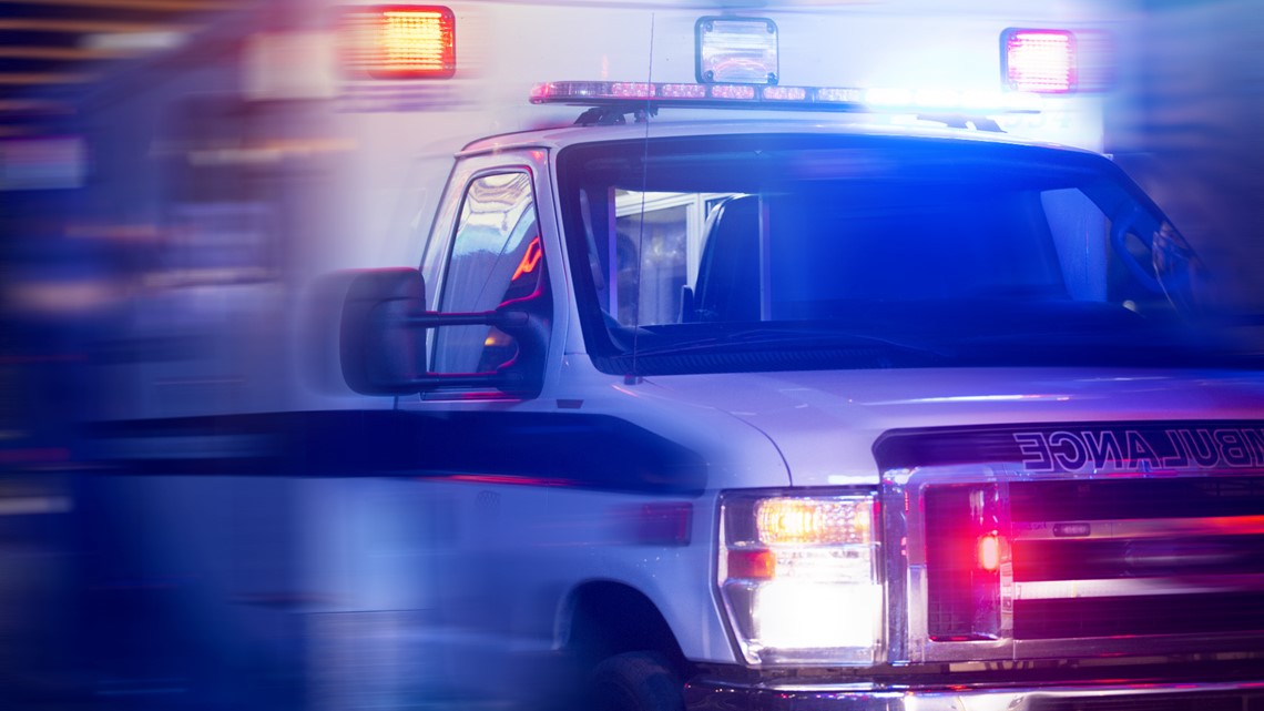 Two ambulances hit the same moose in Aurora, Maine - Vimarsana News