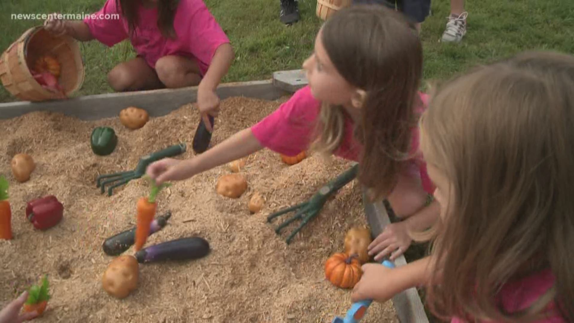 A program happening in the Midwest has made its way into Maine fairs, offering children the chance to become farmers for a day.