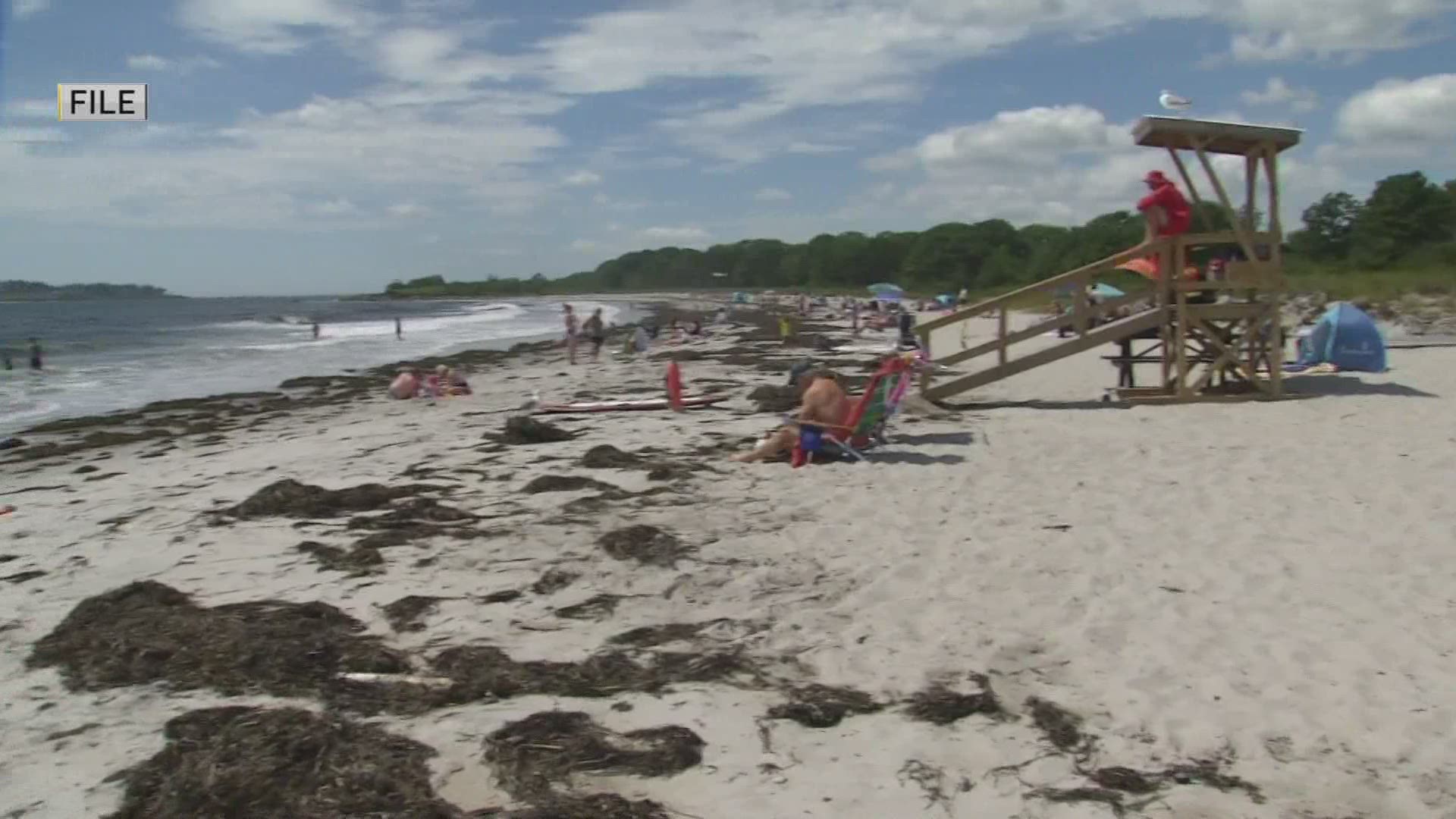 After a New York woman was killed by a shark off Bailey Island last July, several beaches are adding warning flags to give swimmers a heads up about potential risks