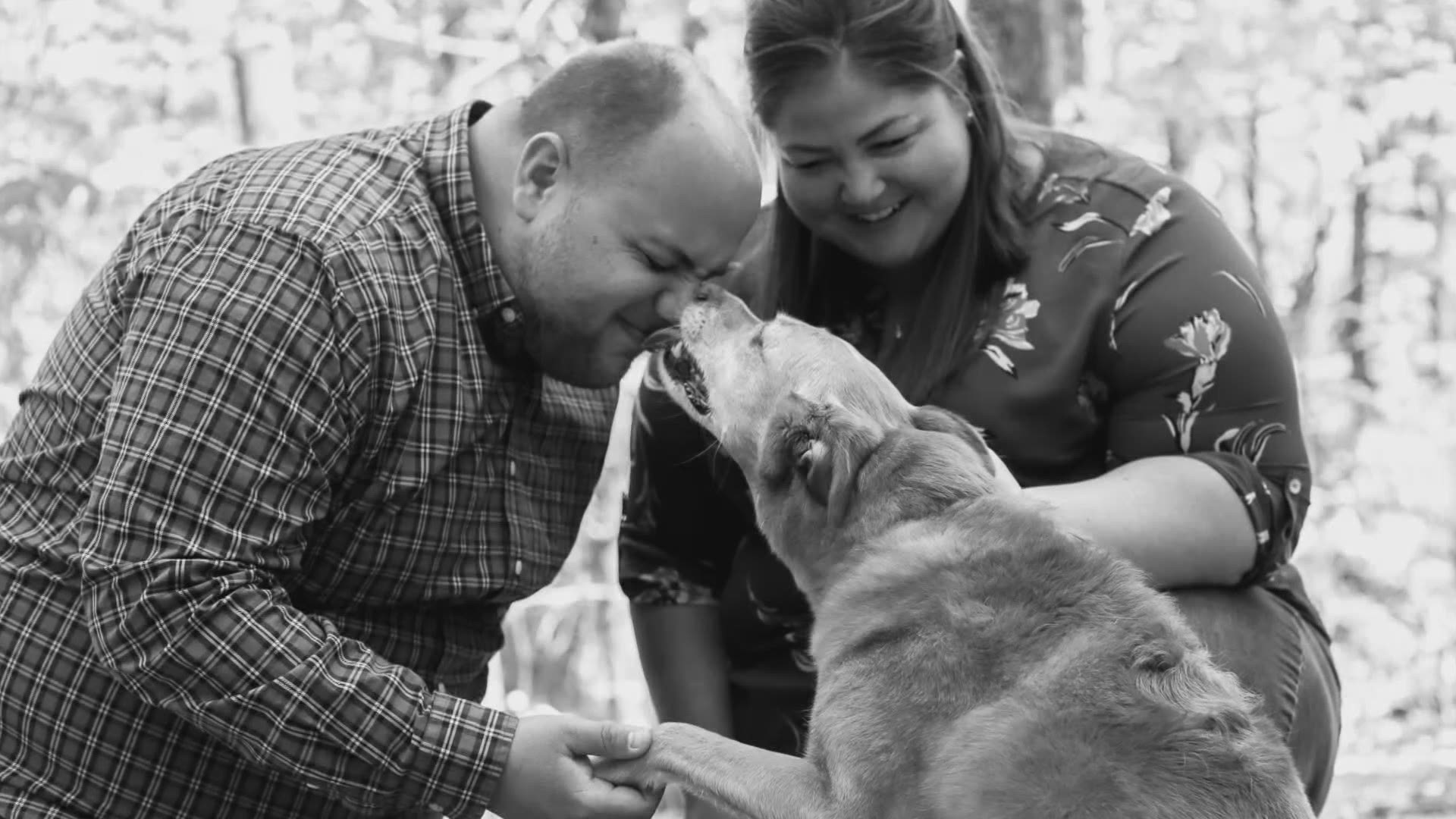 Lauren Kennedy helps to provide pet owners with some happy memories when their dogs are getting close to the end of their lives.