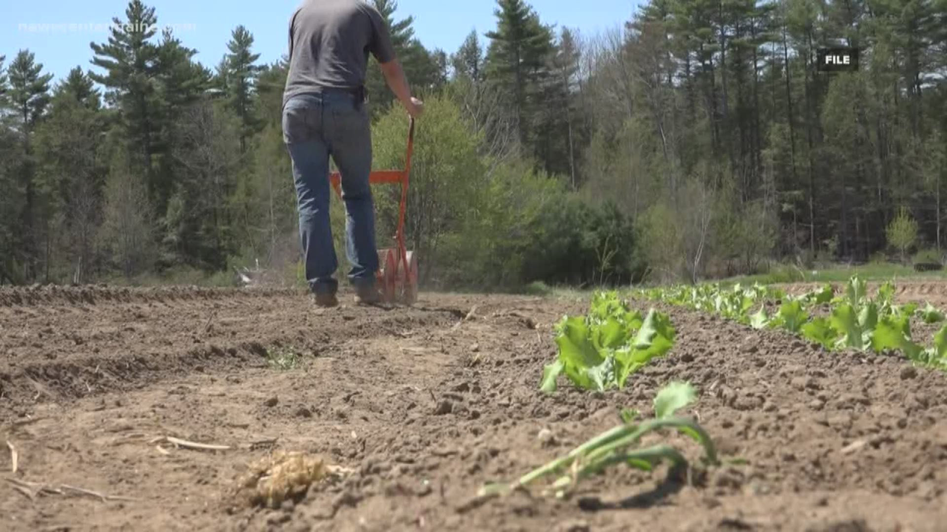 More than $600,000 is coming to Maine to support a project that teaches refugees about sustainable farming practics.