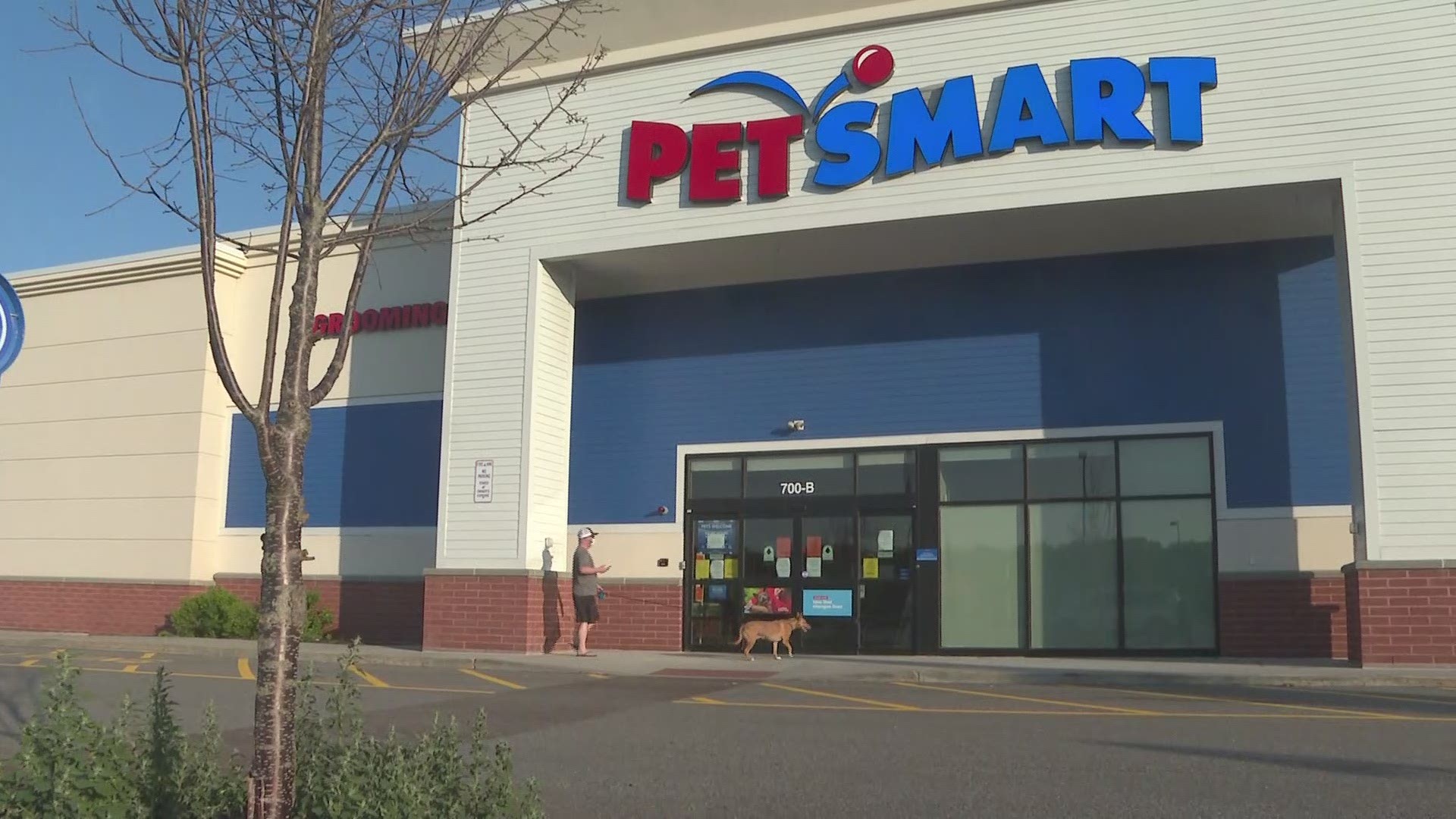 PetSmart robbery