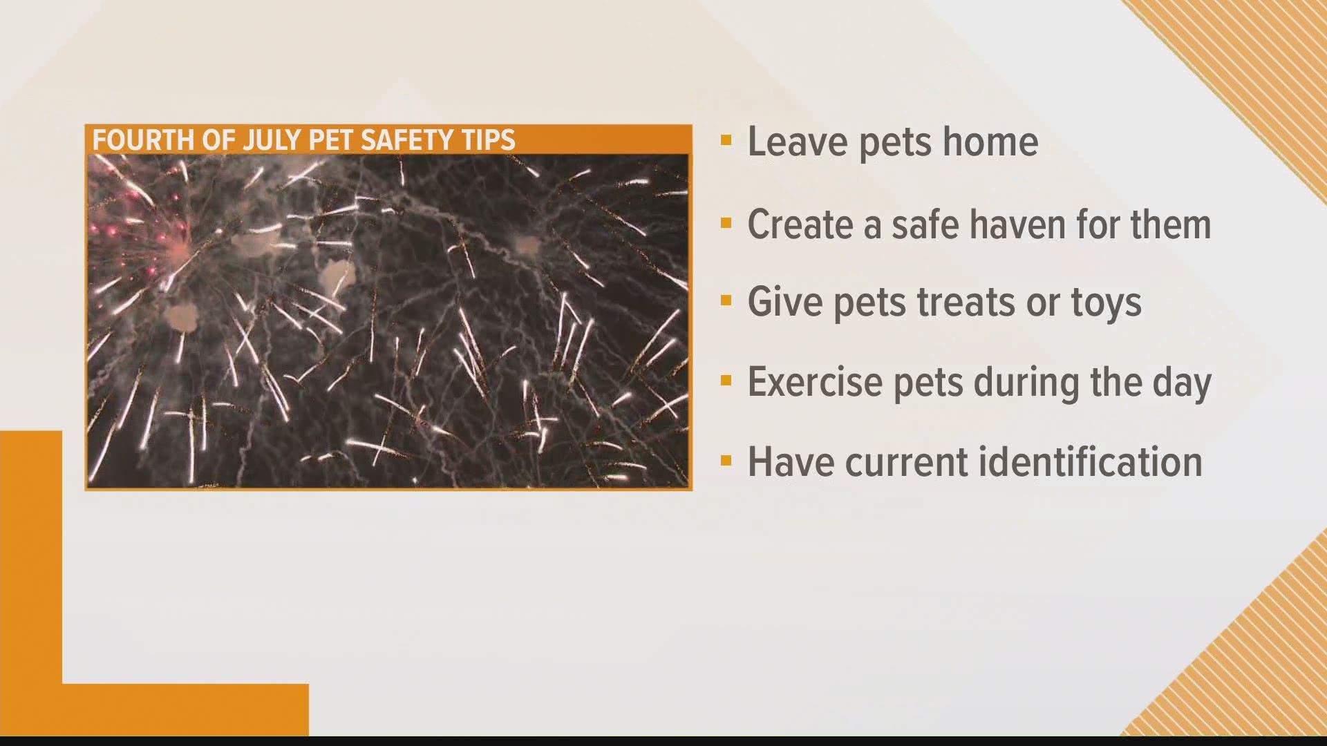 More pets go missing on the Fourth of July than any other day of the year.