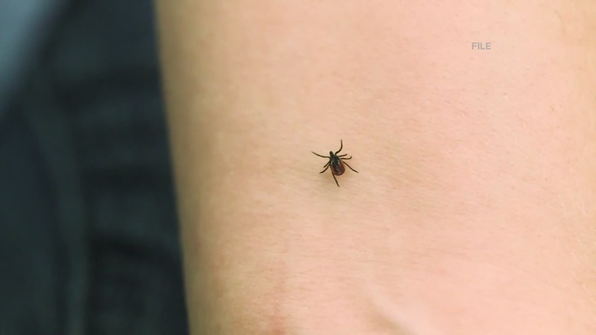 A new study shows that cases of tick-borne illnesses across the country are ten times higher than what experts previously thought.